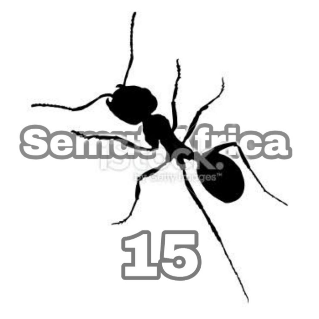 Giant Ant Hitam isi 15