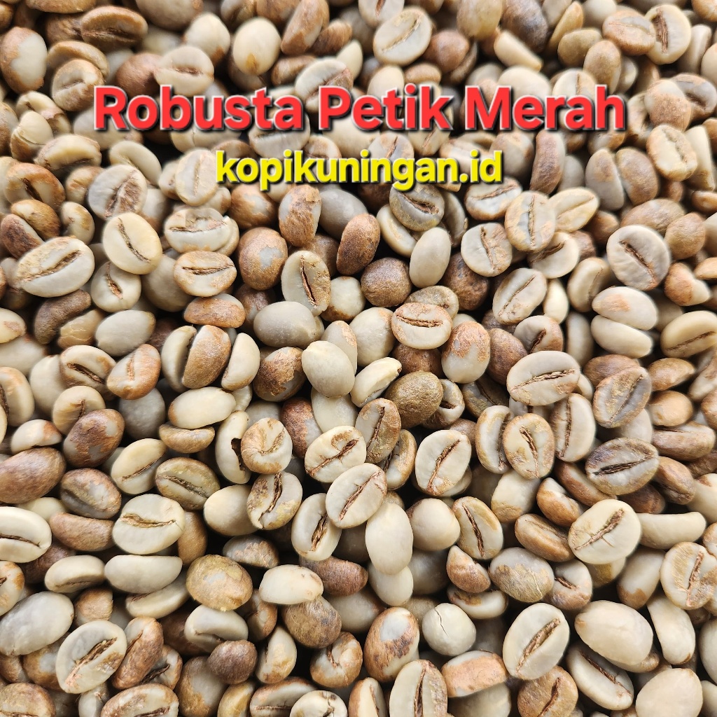 

Kopi Robusta Petik Merah 1kg Green Bean Natural Premium