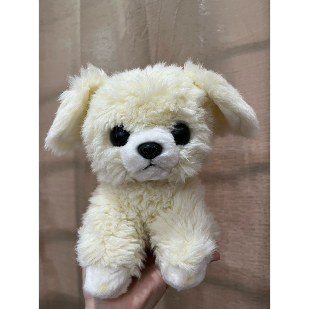 Boneka Anjing/Chihuahua/pomerian/fox fennec Animal Plushie mines mata beret hidung pudar