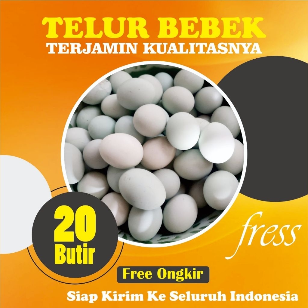 

telur bebek omega fresh / ternak sendiri