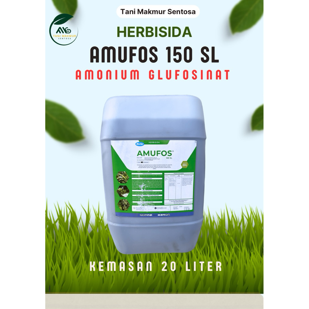 Herbisida Amufos 130 SL Kemasan 20 Liter Spesialis Rumput Teki dan Lulangan