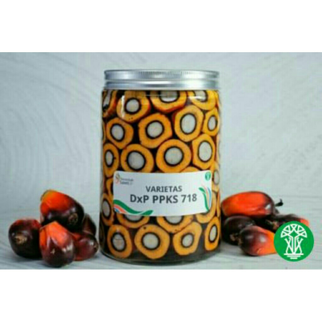 benih unggul DXP 239