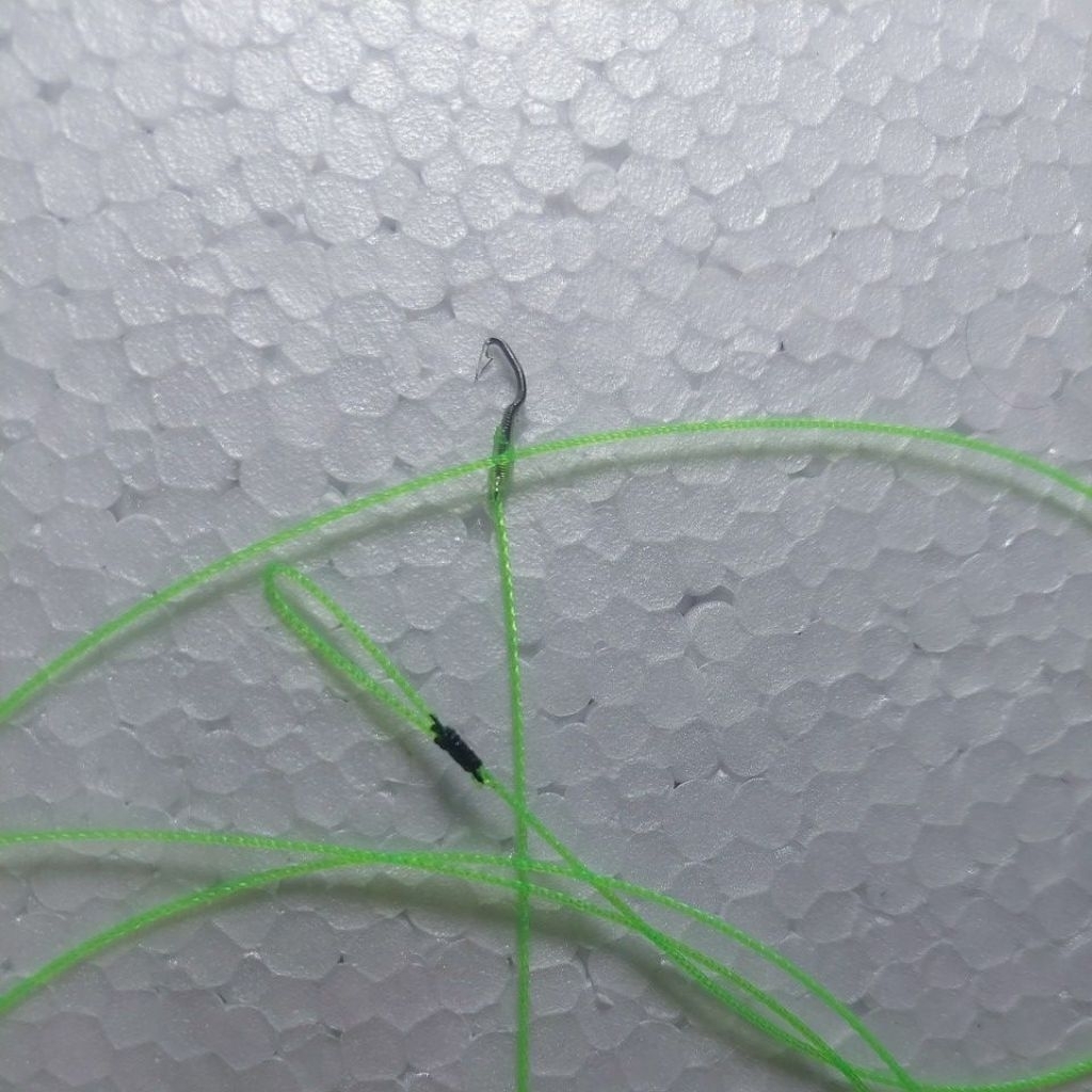 urek belut pesawahan