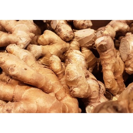 

Jahe Segar 500 Gr Kualitas Bagus