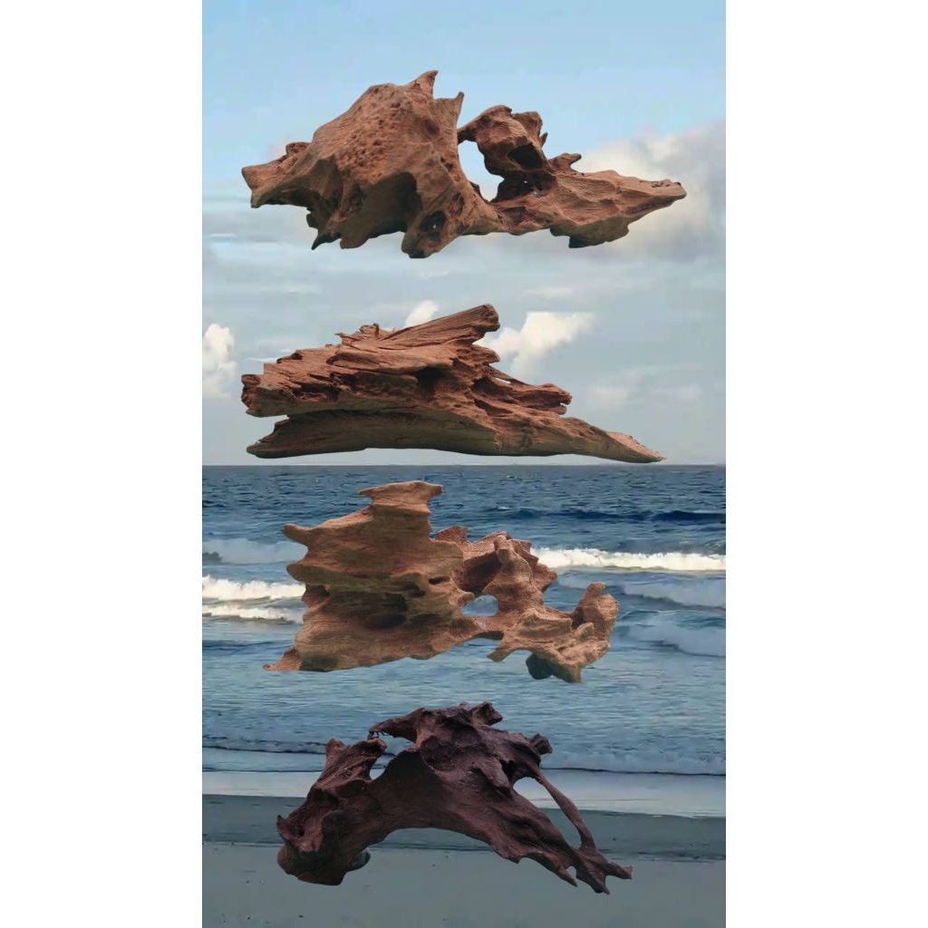 Kayu rentek aquascape kayu kheras tenggelam