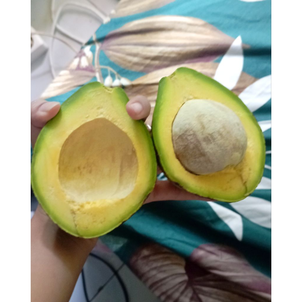 

Alpukat Mentega 1kg isi 3-4