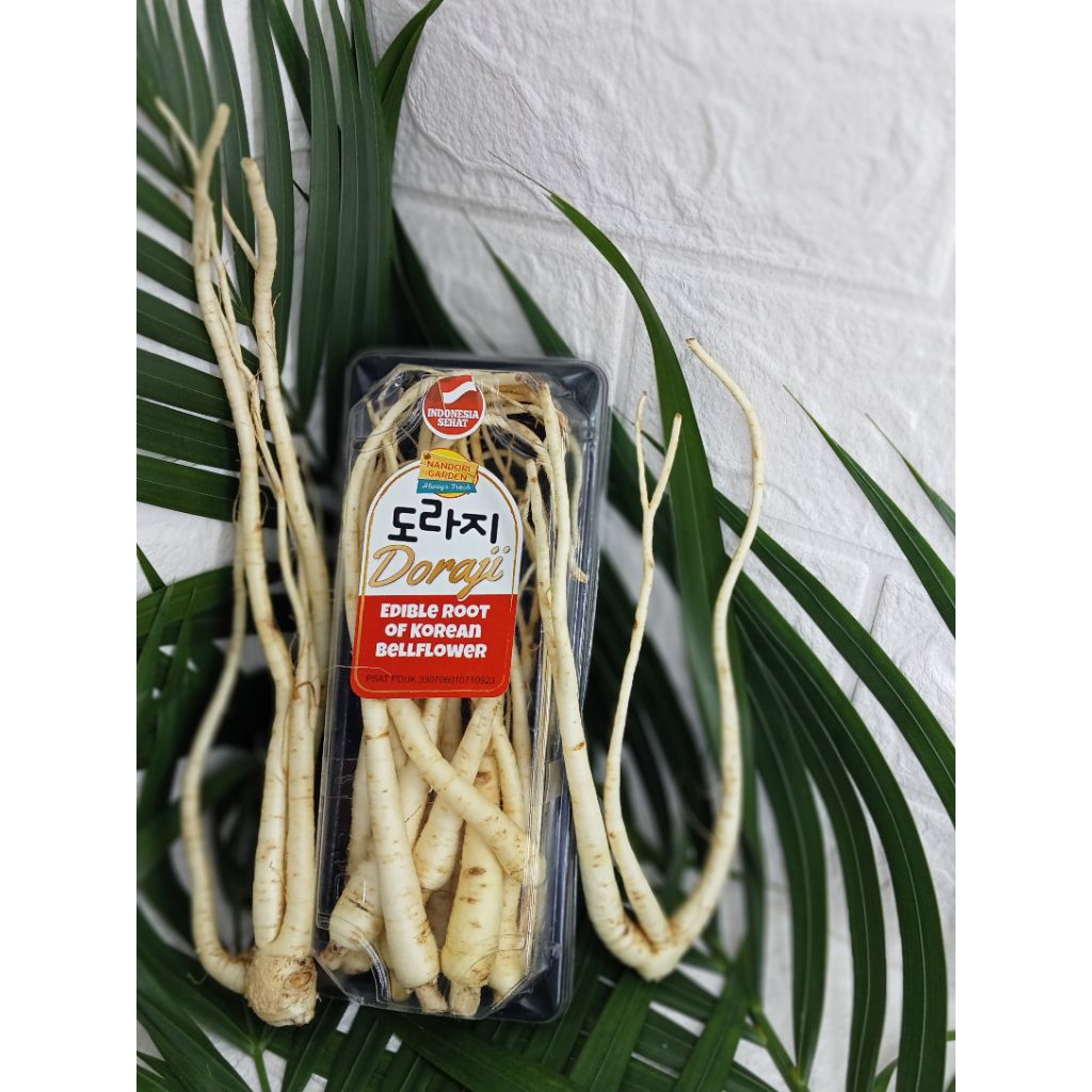 

[TERLARIS] GUDANG BUAH GINSENG DORAJI KOREA LOKALSEGAR 125GR