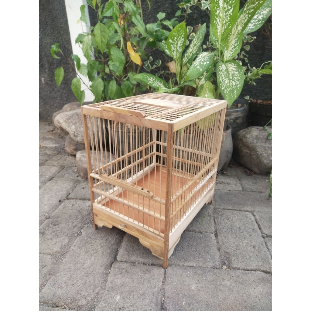 Sangkar Burcil / Sangkar untulan untuk prenjak, sogon, ciblek
