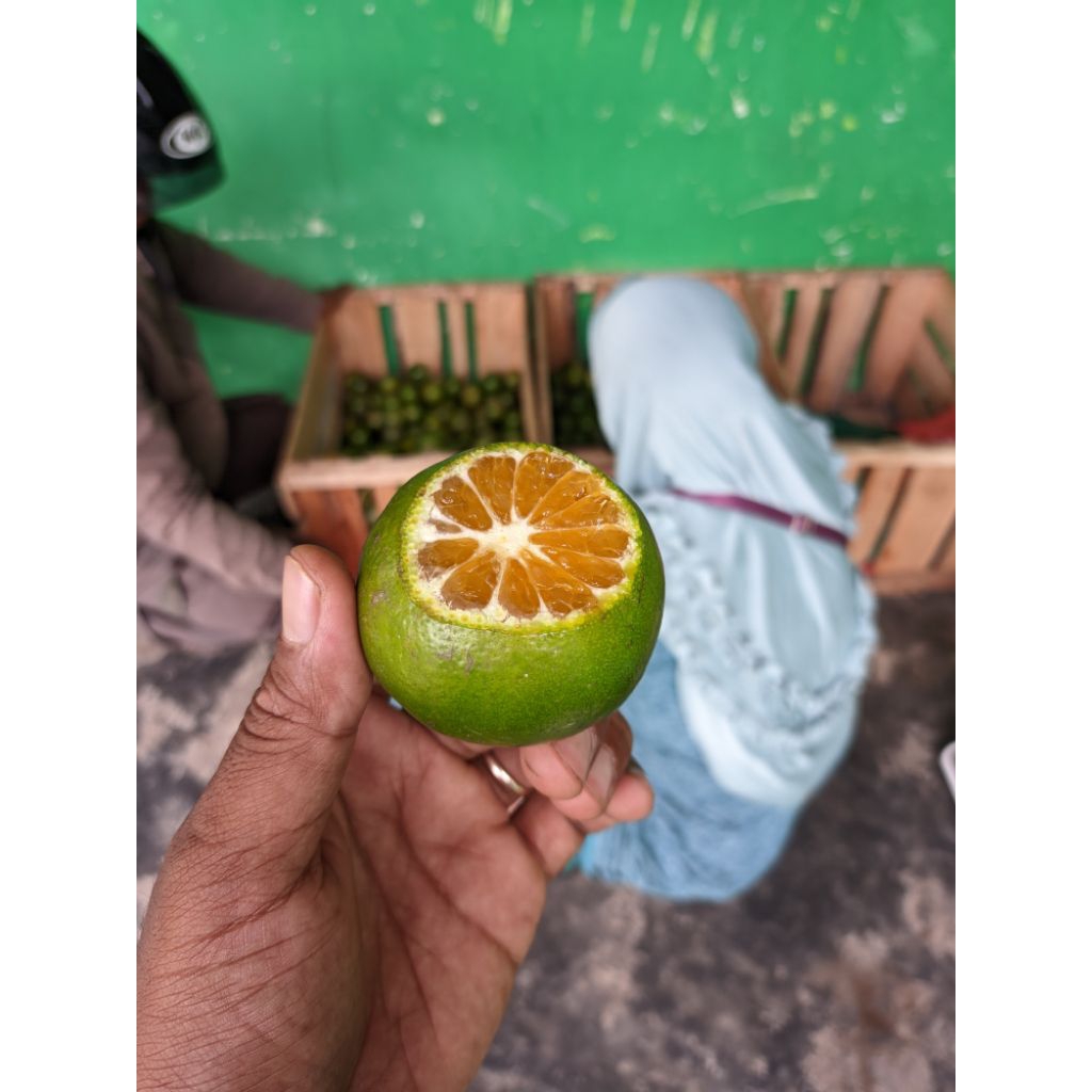 

jeruk peras 00 campur BL