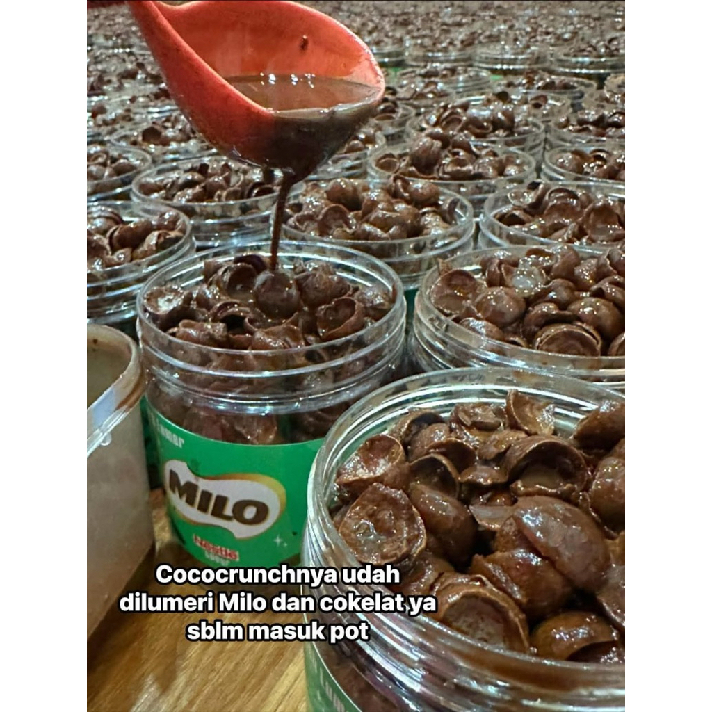 

MILO CHOCO CRUNCH LUMER