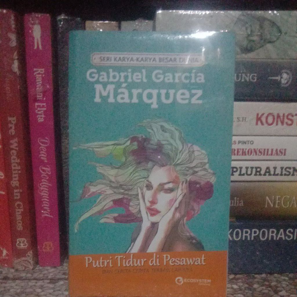 PUTRI TIDUR DI PESAWAT -- Gabriel García Márquez