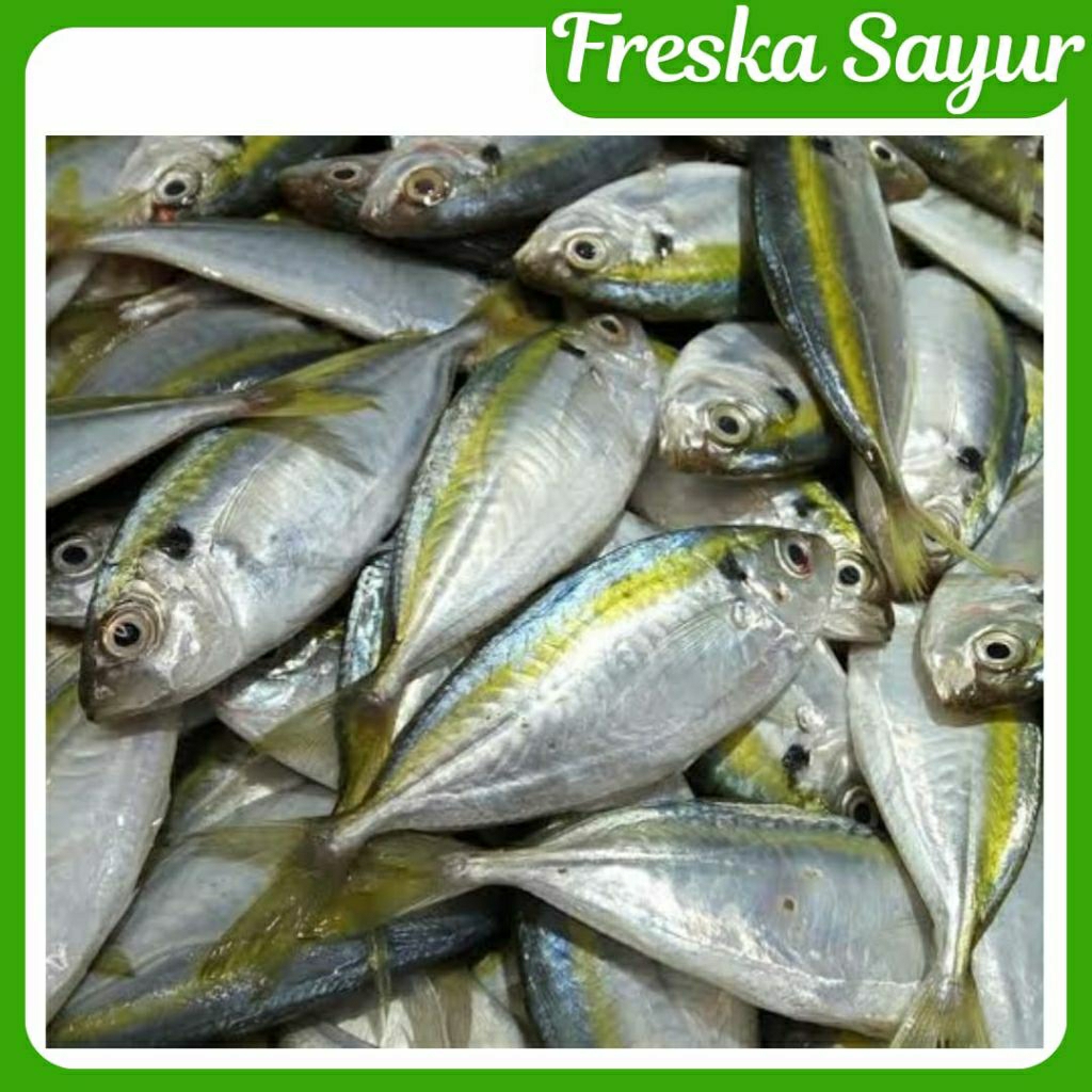 

Ikan Selar Fresh 1 Kg