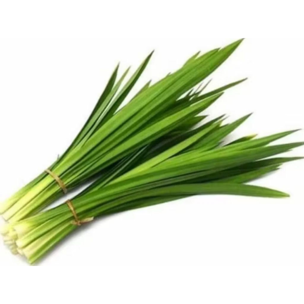 

DAUN PANDAN WANGI SEGAR 15 PCS