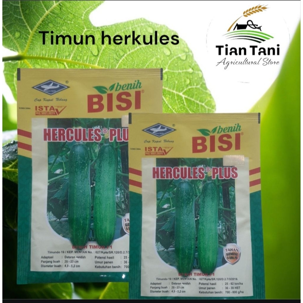 TIMUN HERCULES..benih timun..kemasan 20gr