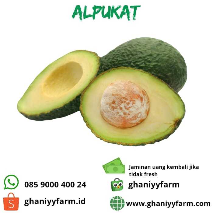 

Buah Alpukat Mentega Premium 1kg