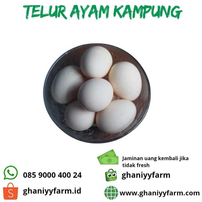 

Telur Ayam Kampung 500Gram