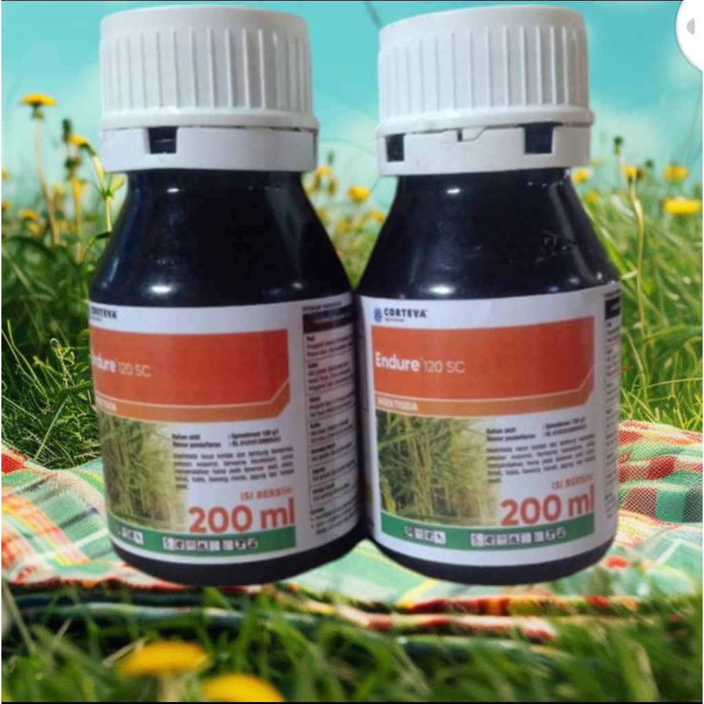 ENDURE 120 SC 200ml Insektisida corteva