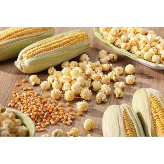 

Jagung Popcorn Mentah 1kg Jagung Mushroom Original
