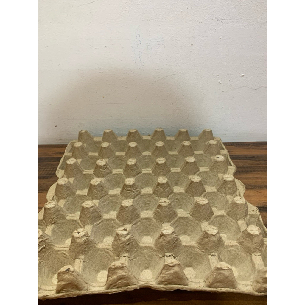 Tray Telur Karton 1pack isi 10 lembar/ Wadah Telur Ayam / Egg Tray