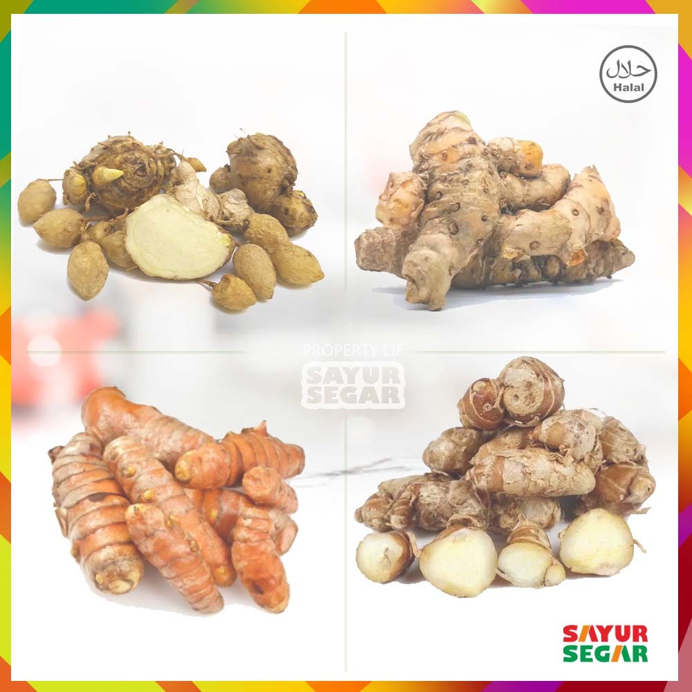 

Aneka Rempah Basah Kunyit, Kunyit Putih, Kencur, Temu Kunci 100g