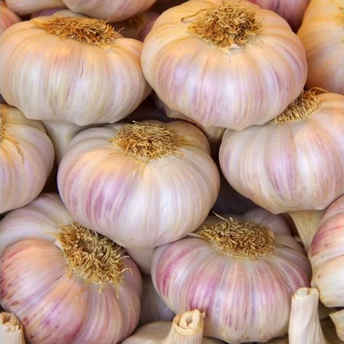 

INSTAN KOTA JAMBI Bawang Putih 200gr