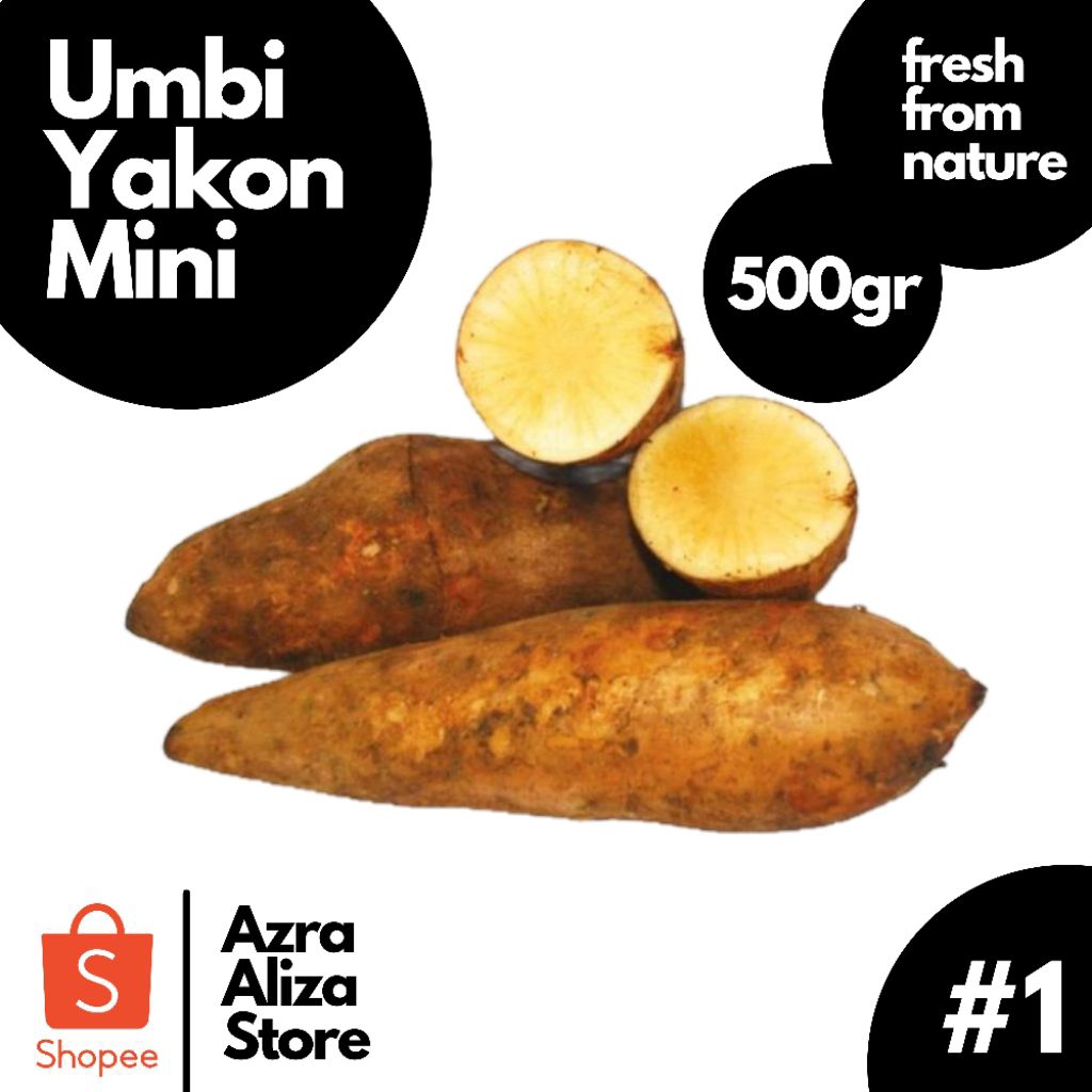 

Ubi Yakon/Umbi Yacon Mini 500r