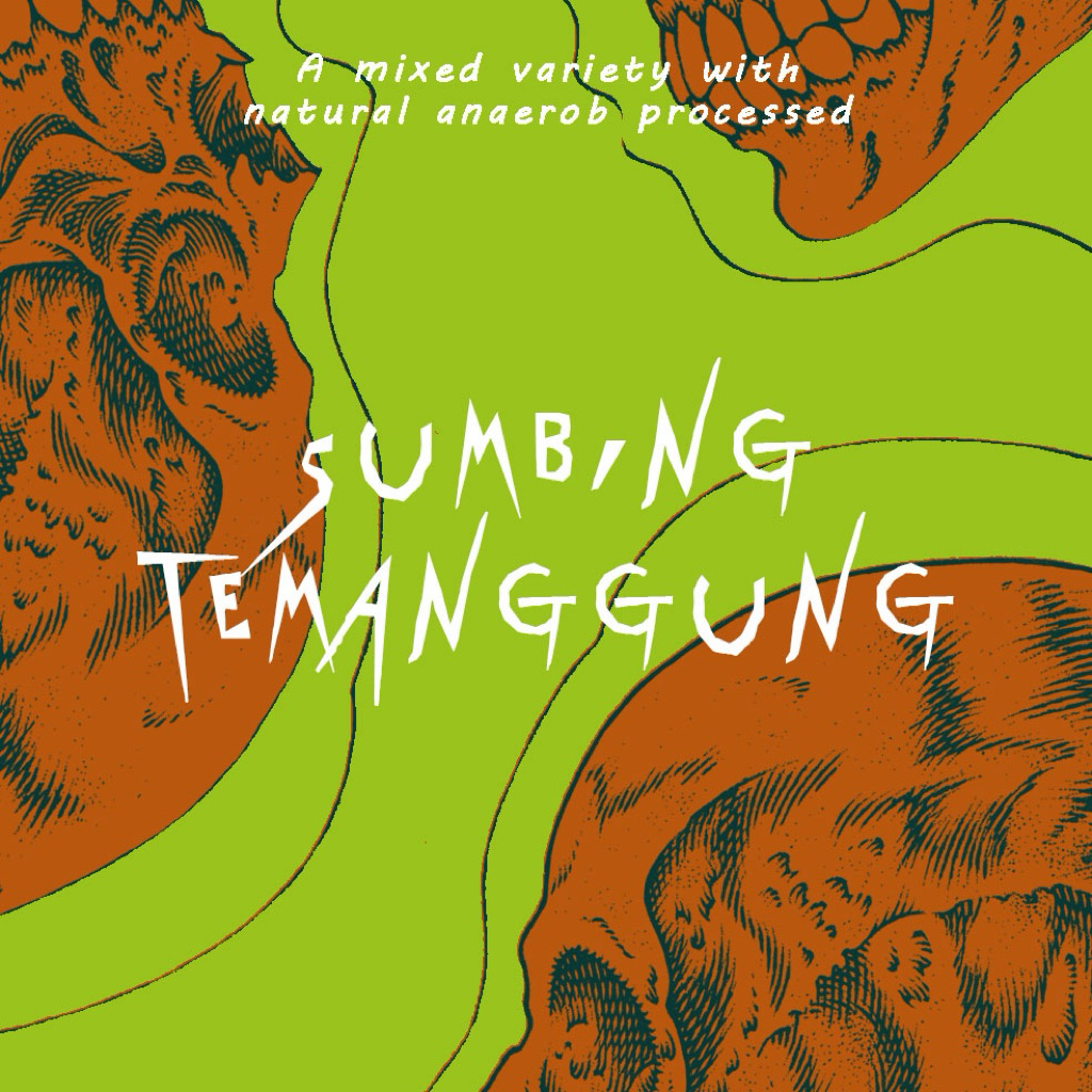 

gn.sumbing temanggung natural anaerob roasted bean coffee