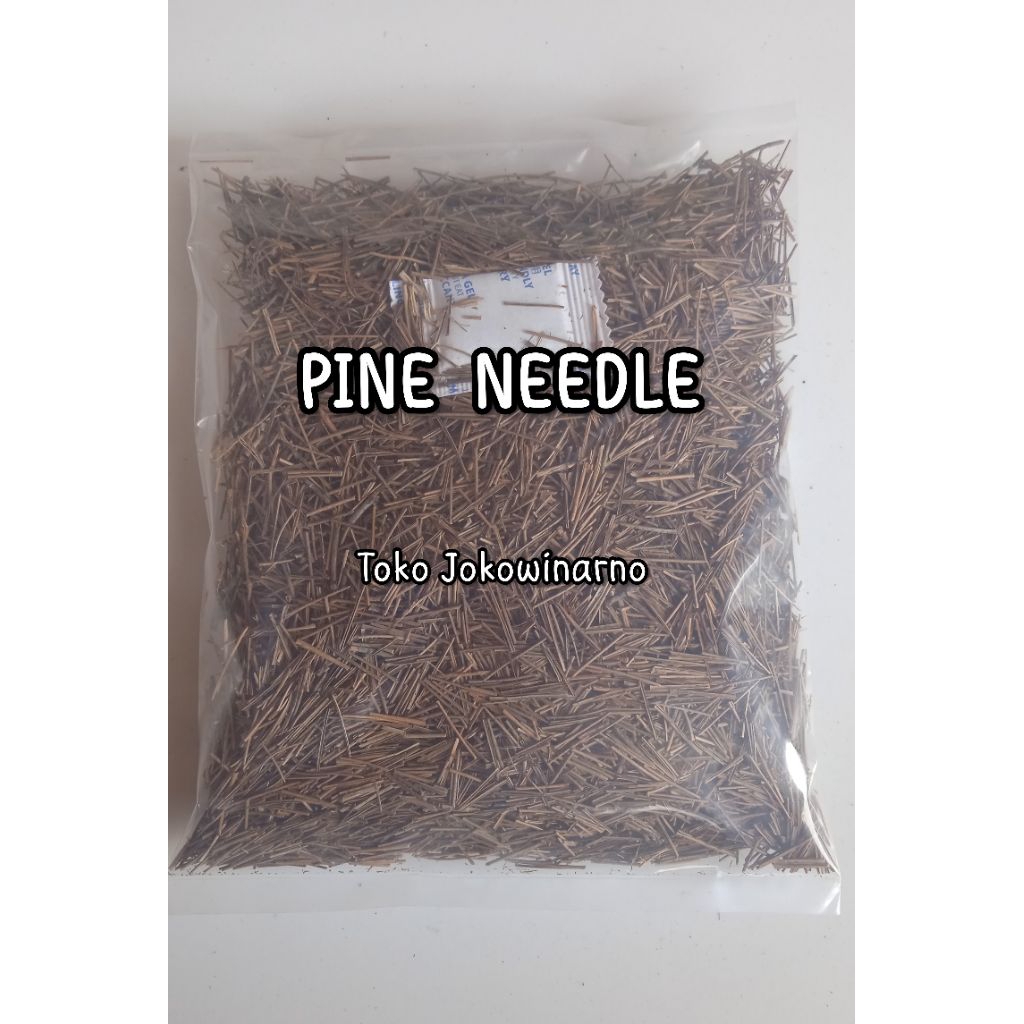 

PINE NEEDLE TEA 100% ORIGINAL - Varian isi 1 Kg
