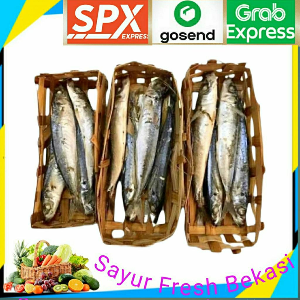 

Ikan Cue Keranjang (isi 3 Keranjang).