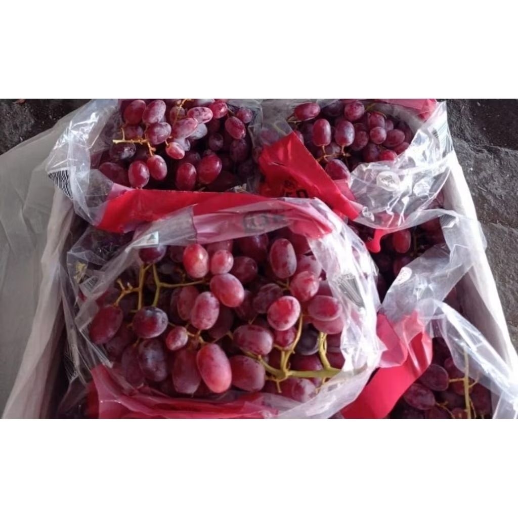 

Buah Anggur Peru amerika 500gr surabaya instan