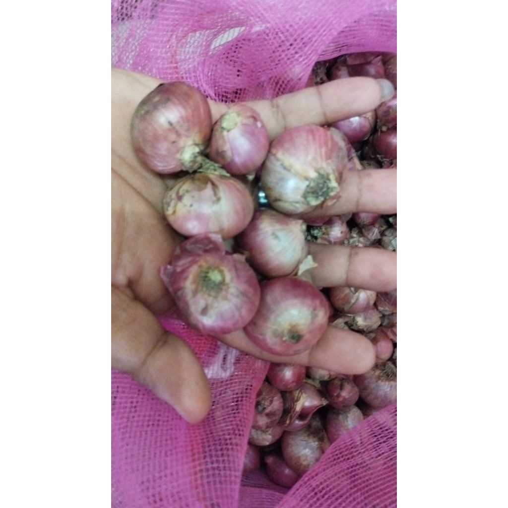 

BAWANG MERAH SUPER 1000grm