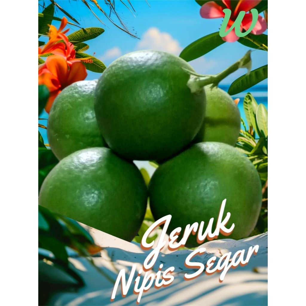 

jeruk nipis segar 500gr