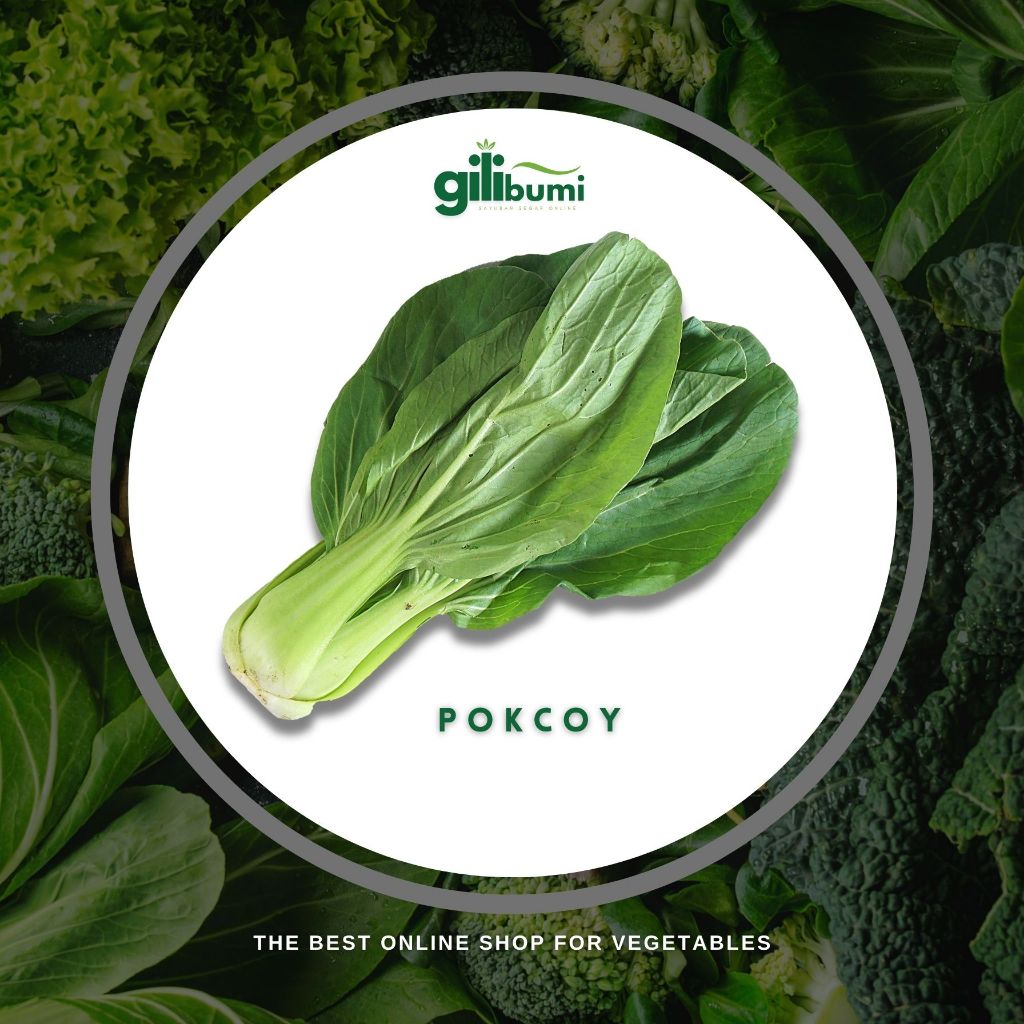 

Pakcoy Sayur Segar 250gr