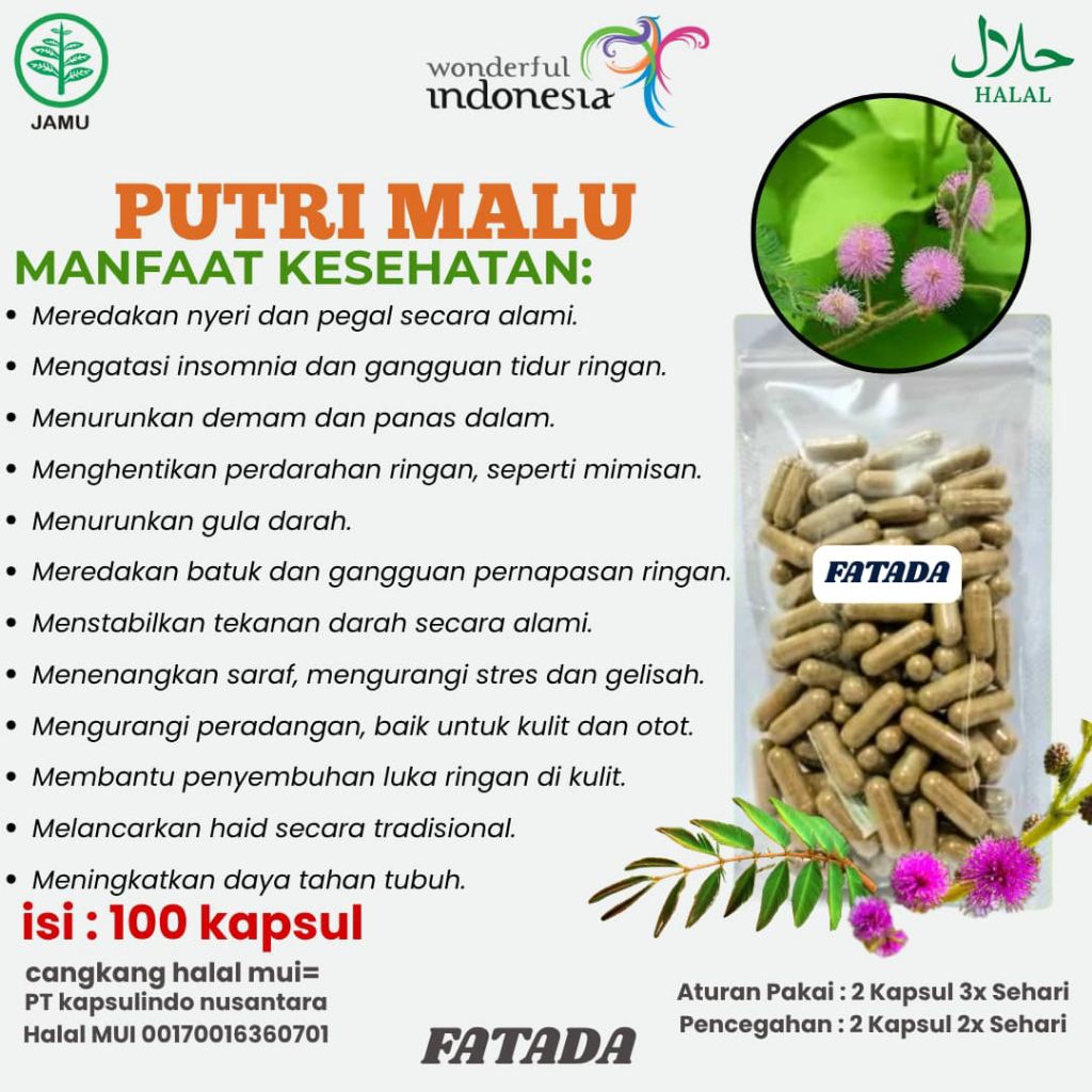 KAPSUL HERBAL PUTRI MALU 100 KAPSUL