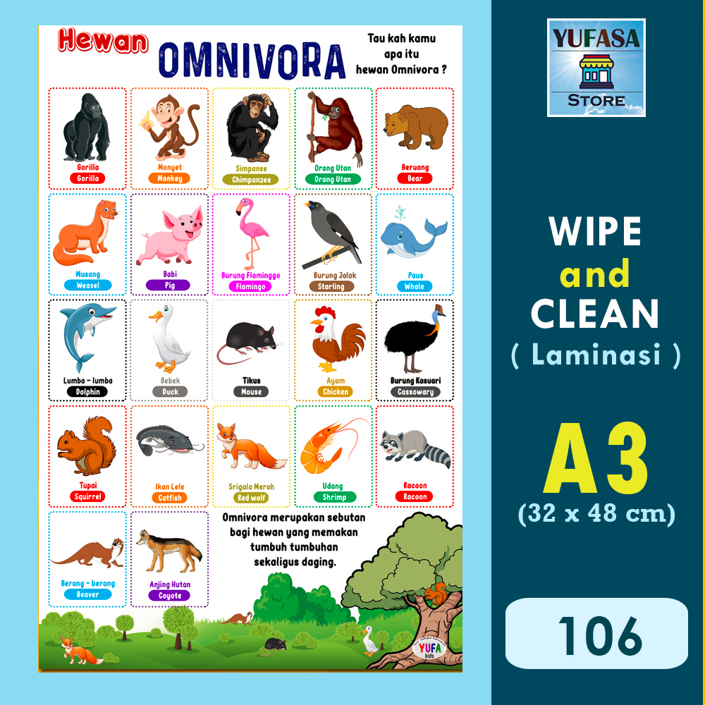 106 poster hewan omnivora - Poster belajar anak - Poster wipe and clean - perlengkapan belajar anak 