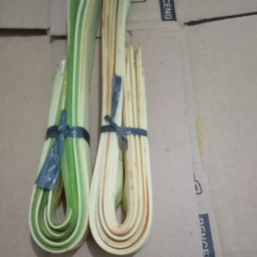 

Daun Janur Kelapa muda segar per ikat