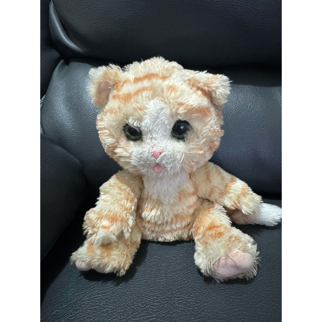 PRELOVED BONEKA KUCING