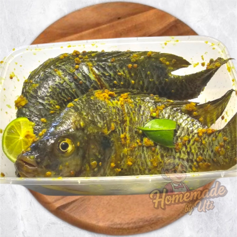 

KIRIM INSTANT Nila Bumbu Ketumbar 2 ekor