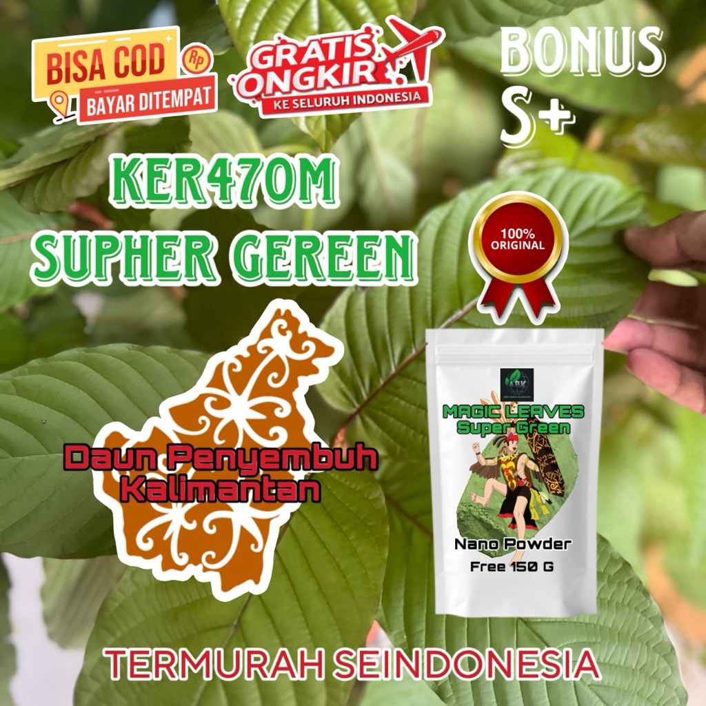 

DAUN PENYEMBUH BRNEOO SUPER IJOH PREMIUM QUALITY SS++