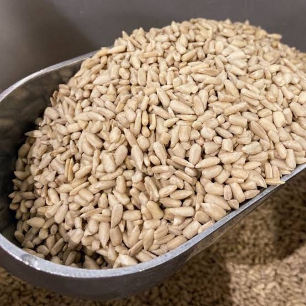 

Biji labu dan biji bunga matahari – kacang berkualitas tinggi, mentah dan lezat. Biji labu dan biji bunga matahari.