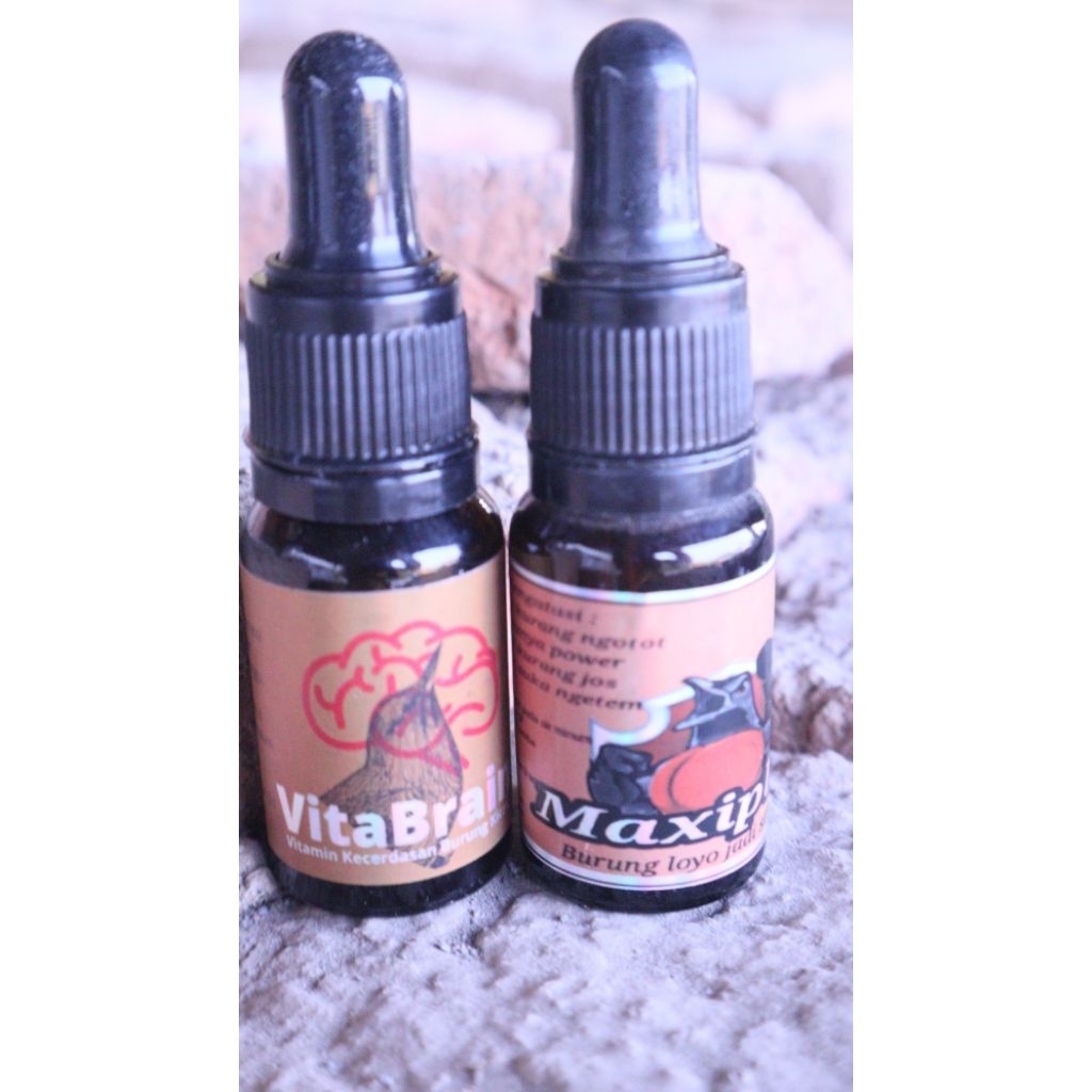 Penggacor burung,obat burung,atasi burung kalah gantang,kalah mental,down,tidak keluar materi.