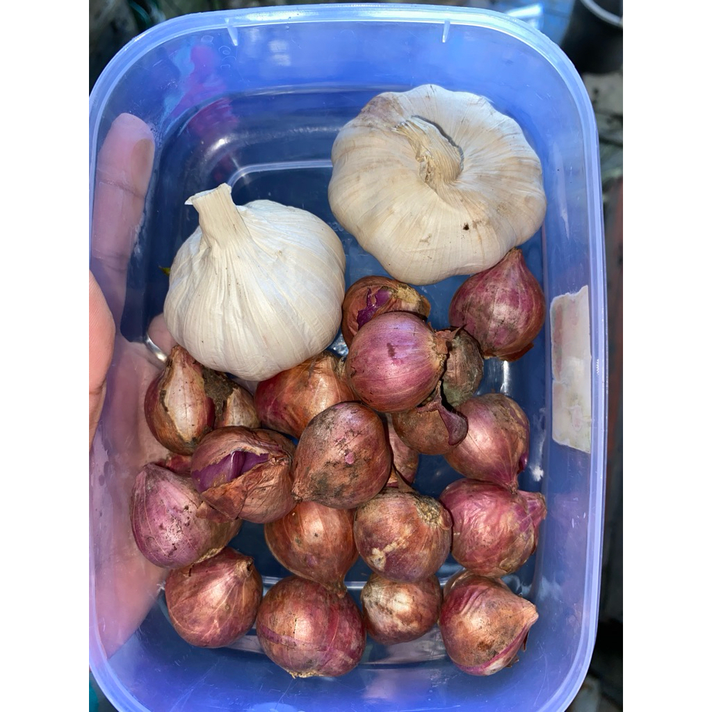 

bawang putih dan bawang merah 250g