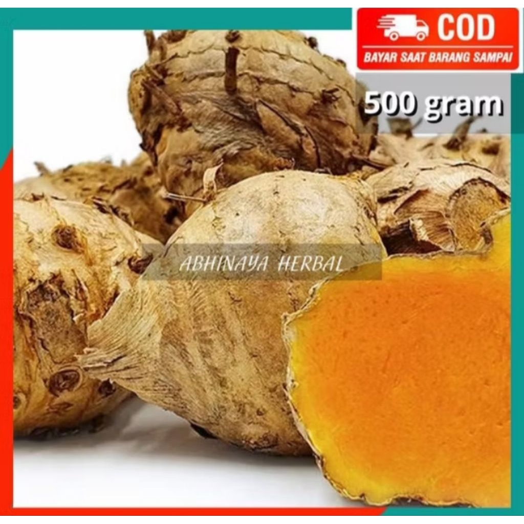 

TEMULAWAK SEGAR - KUNIR GEDE HERBAL 500GRAM
