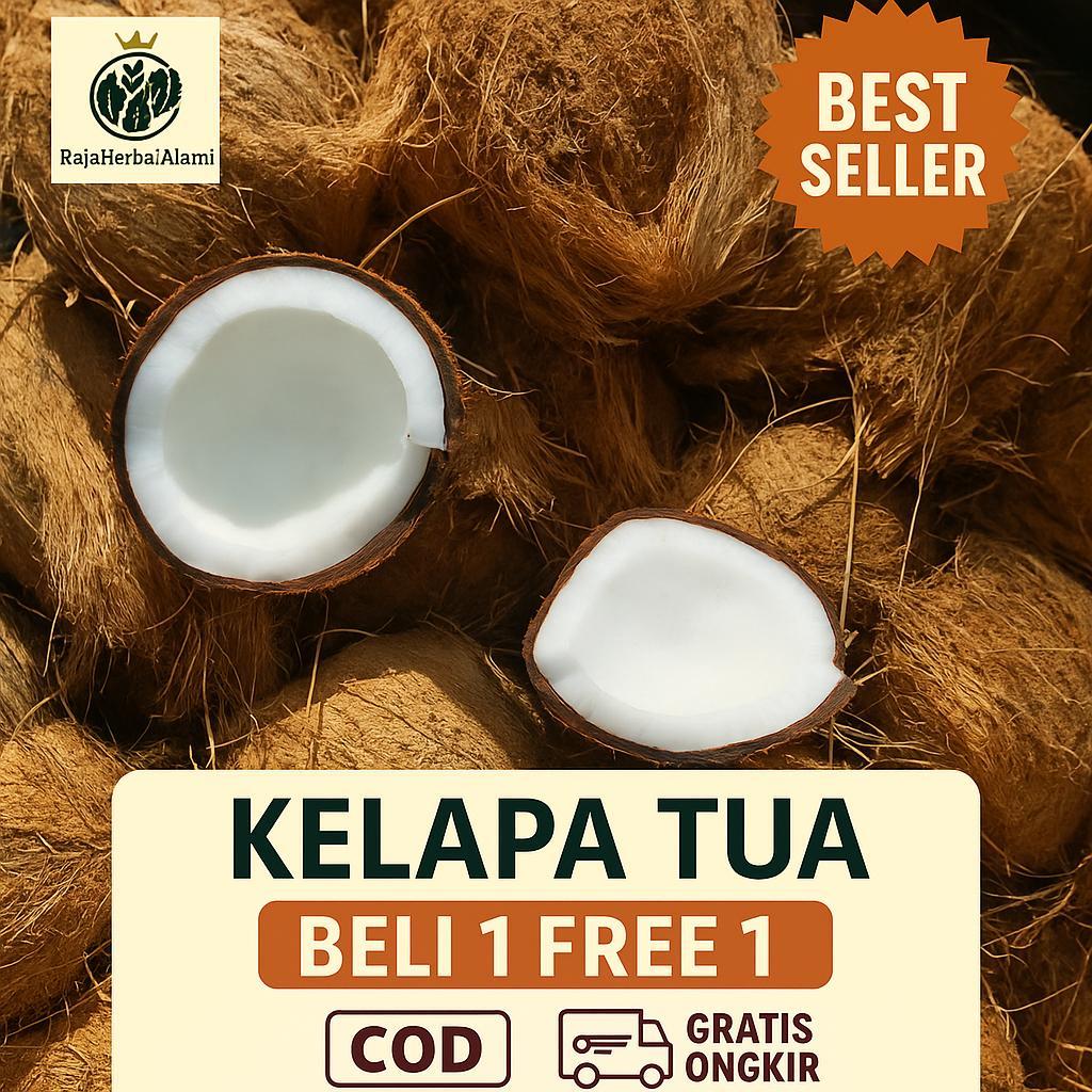 

Kelapa Tua Per 1 Butir FREE 1 Murah Siap Olah | COD & GRATIS ONGKIR