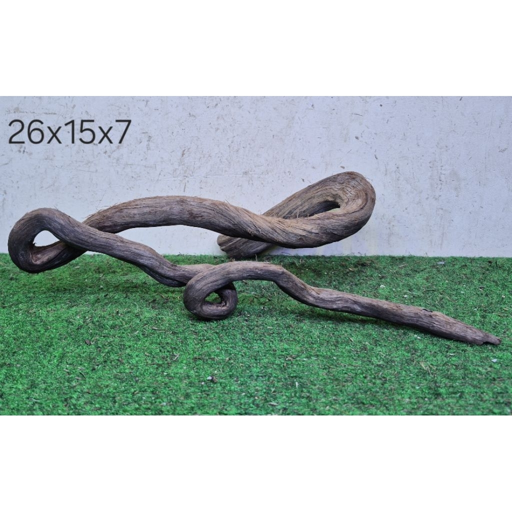 Kayu Santigi Laut Kecil 26cm Kayu Tenggelam Aquascape Aquarium Taman 26x15x7 D1