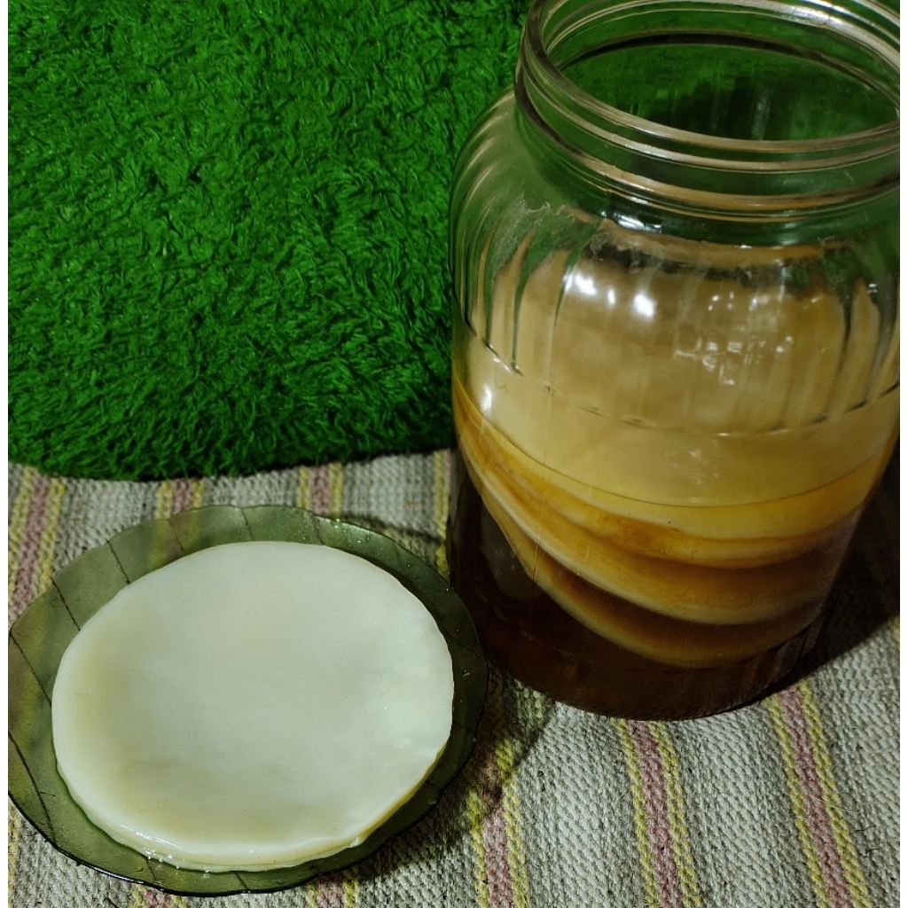 

Kombucha scooby aktif 17cm beli 1 free 1 random