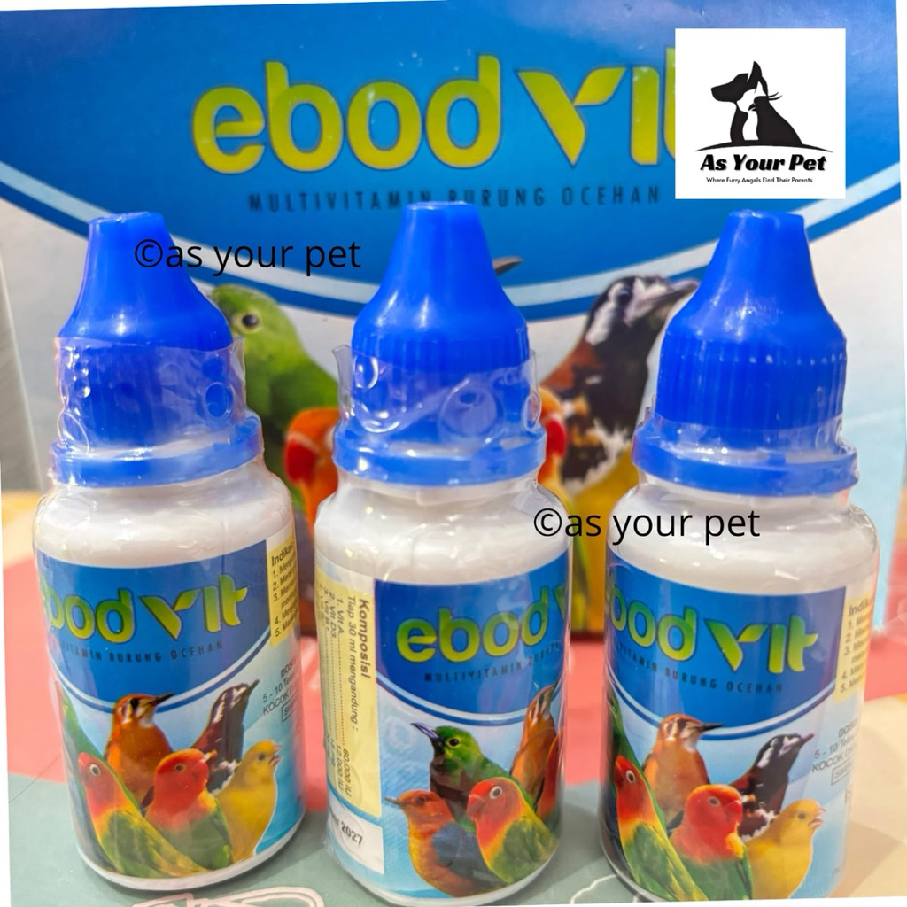 EbodVit untuk burung kicau ocehan untuk kenari parkit murai