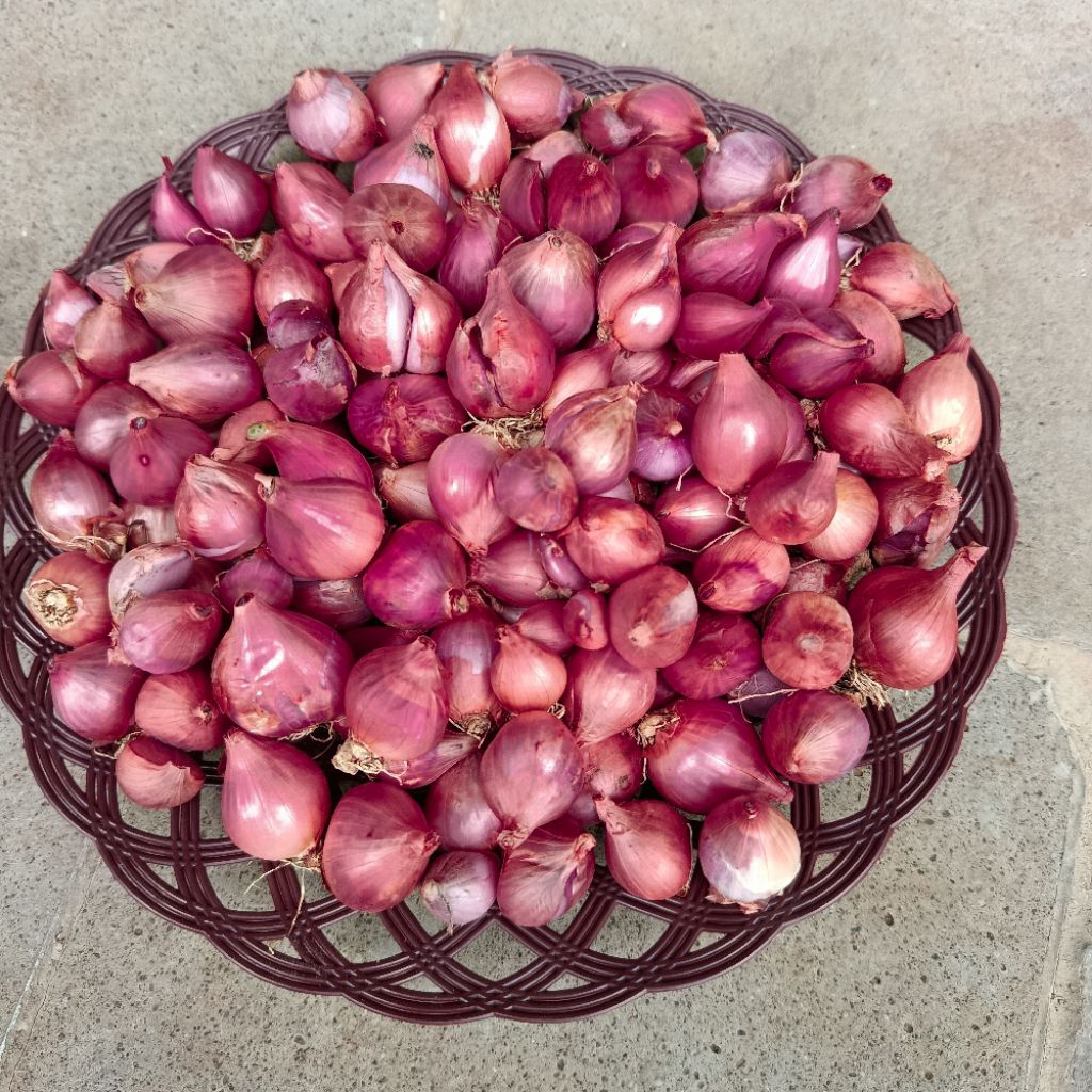 

Bawang Merah Brebes Asli – Segar & Berkualitas | 500gr / 1Kg