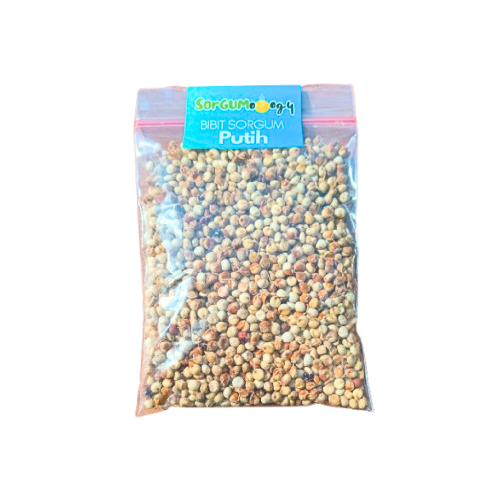 

Bibit Sorgum