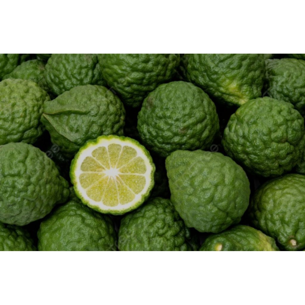 

Buah Jeruk Purut Segar 250 gram